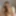 Lisa  Free Photos
