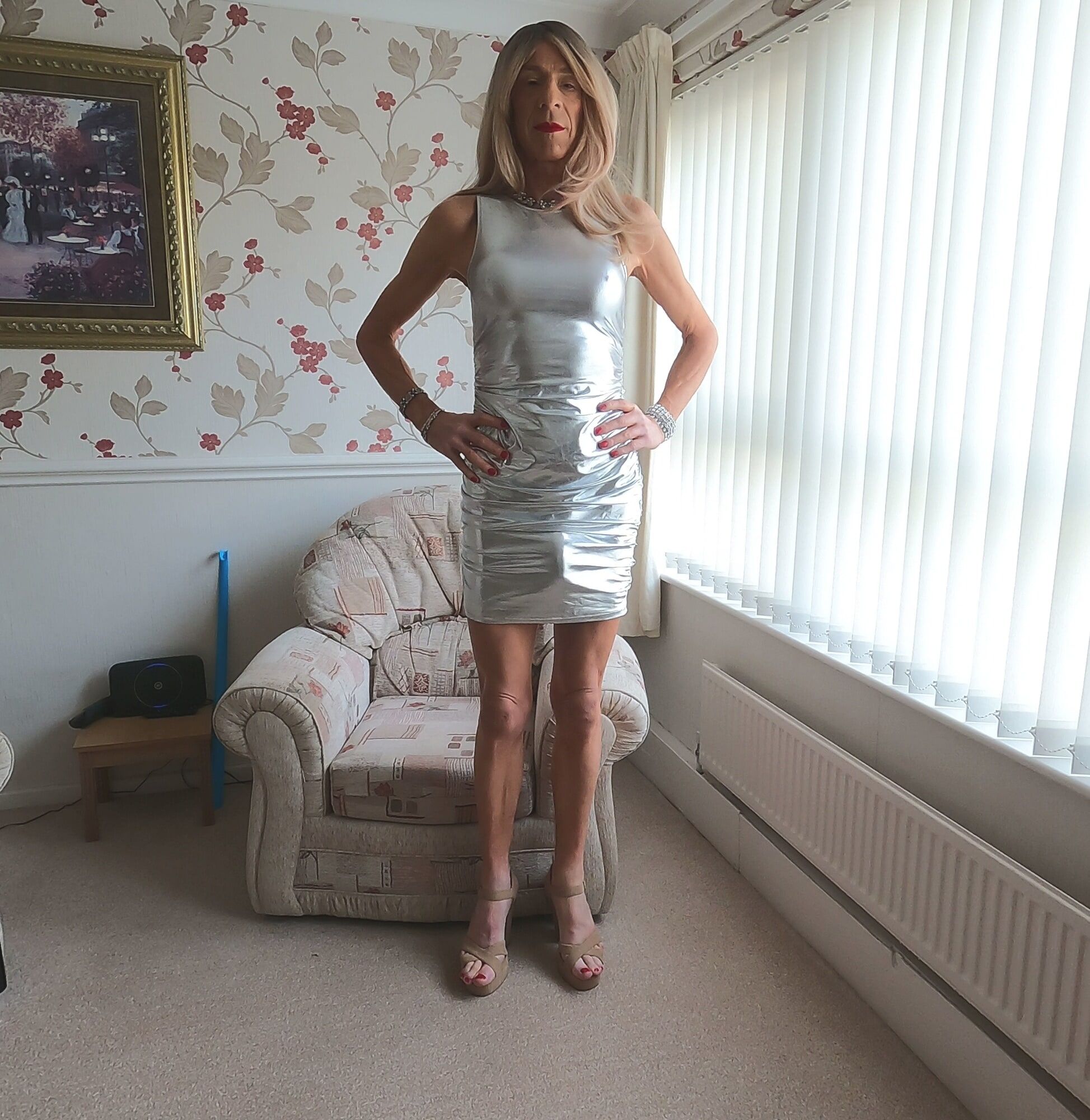 132 Alessia Travestita - Silver Party Dress #2
