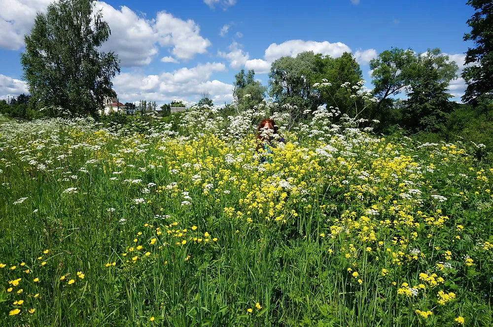 My Wife in White Flowers (near Moscow) #8