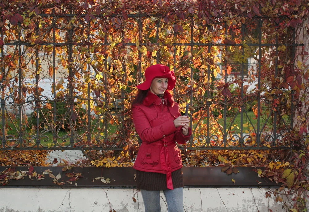 At the Fence #2