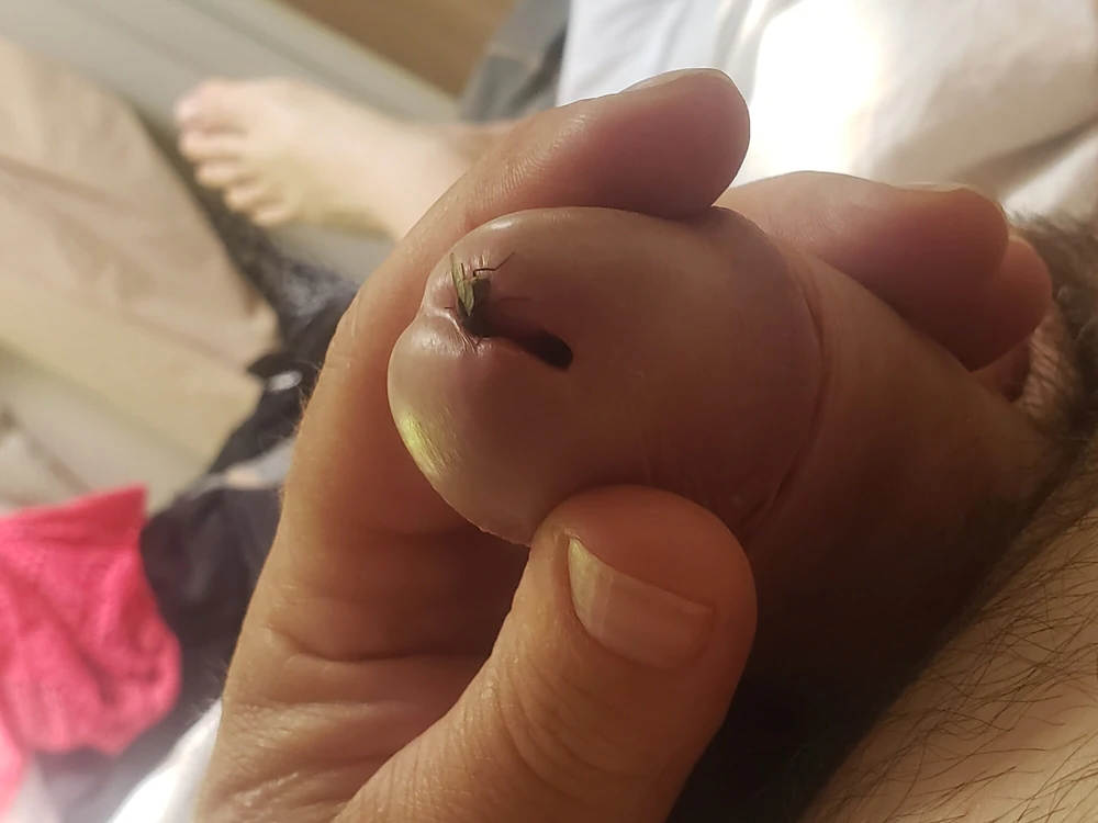 Me, AND MY LITTLE COCK #4