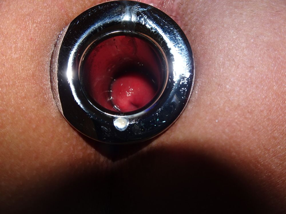 pink harness and tunnel plug #19