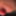 VERY UNUSUAL MOUSE NOSE NIPPLES GIRL GOT GIFT - KILO OF 🧀C #6