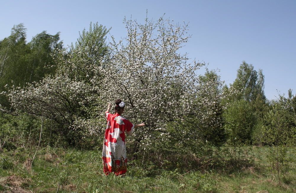 Geisha Style near white flower #11