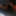ディックの写真