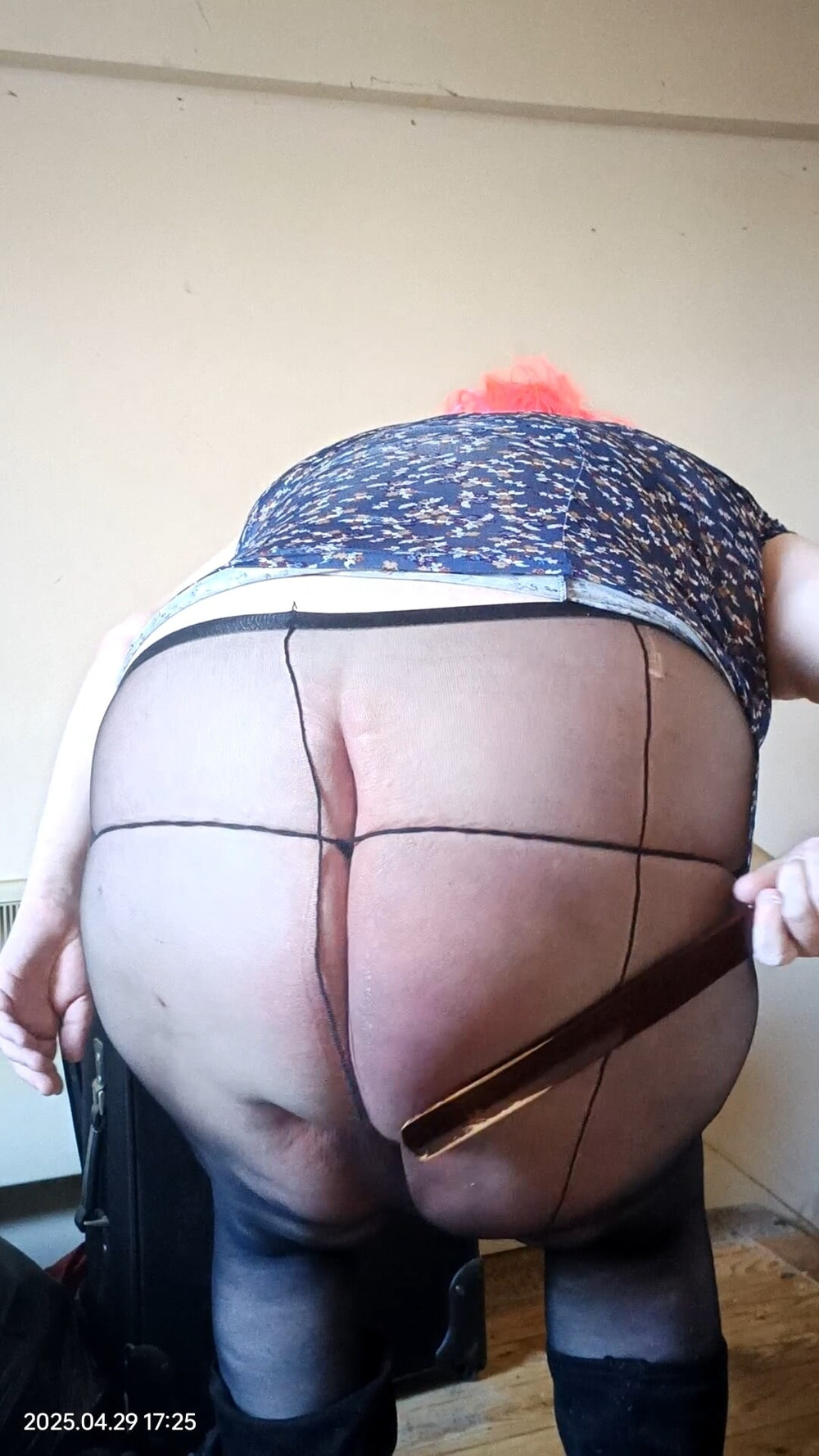 CD-TV clown photos - April 2025 - part 1 #12