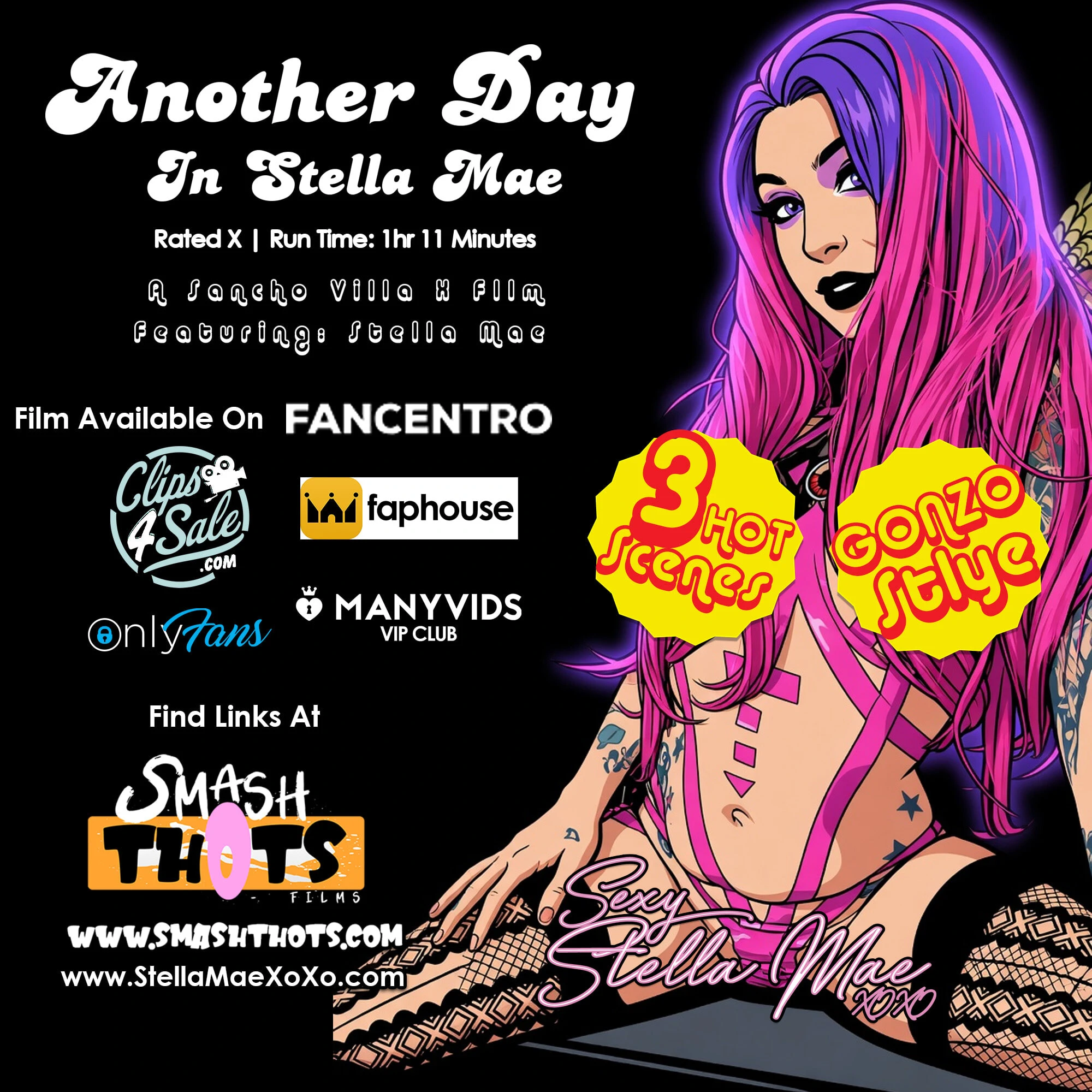 Another Day In Stella Mae Video Covers