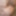 weighing, nippleplay and cagecheck of 26.01.2023