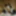 Asian Sissy Ladyboy Maid Cosplay