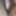 Anil