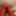 Joselynne My Outfits 2019 #30