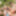 Gay Couple meets Bi Couple at LetsGoBi