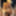 Coco_Cuban🇨🇺 Free Photos
