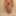 Hairy JoyTwoSex In The Shower