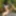 Naked Sexy Milf Shows Her Pussy Outdoors