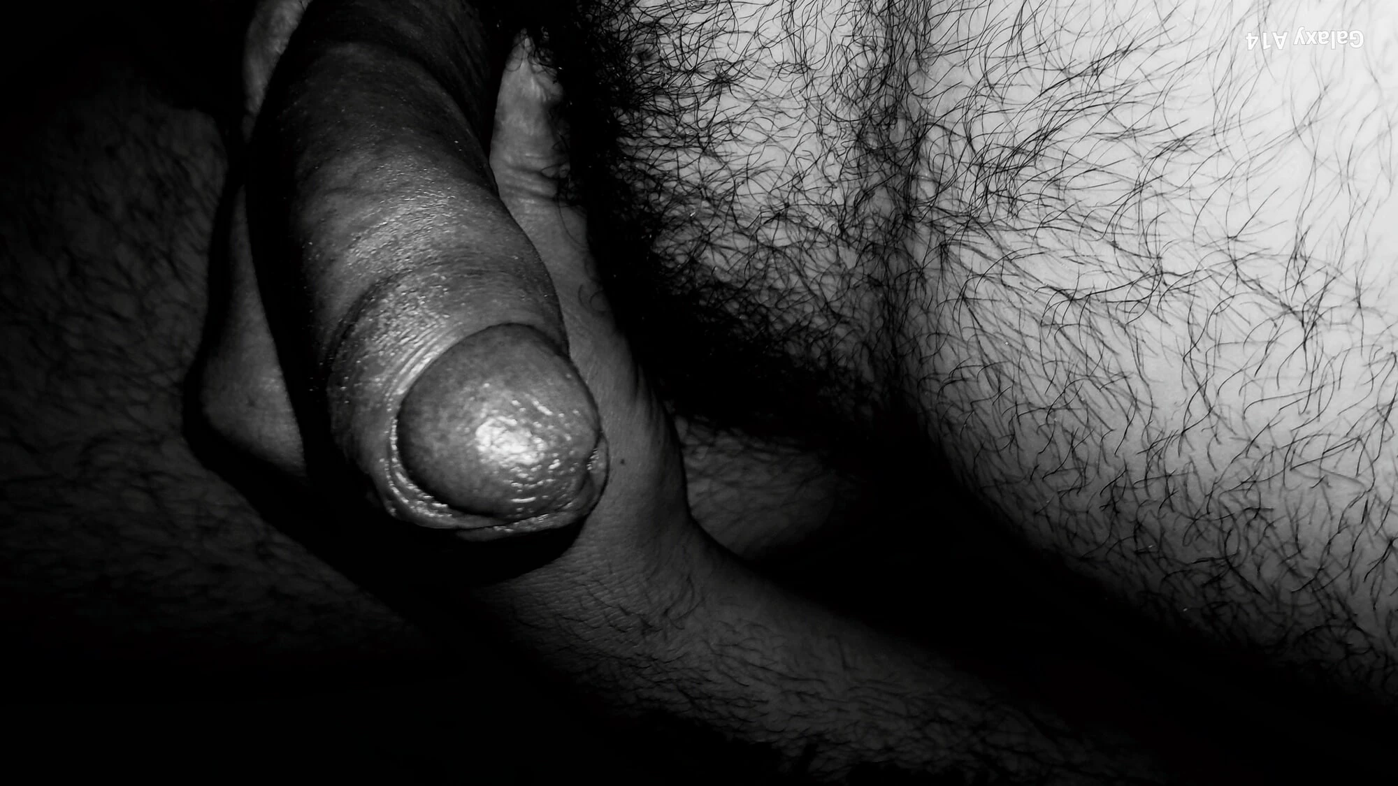 My dick 🤪 