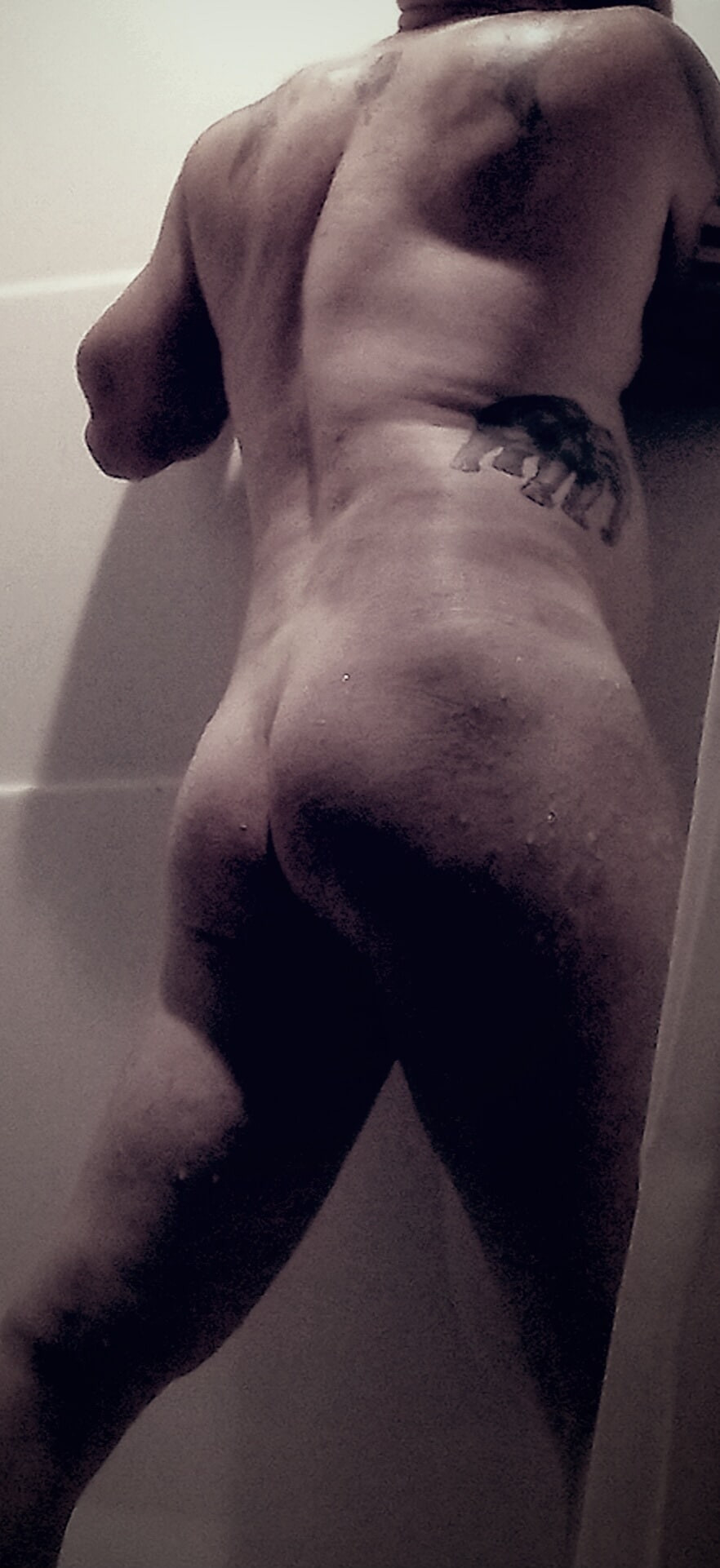 Ass