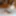 Rinka Mizuhara :: A Danfer Temptation From Wife - CARIBBEANC #3