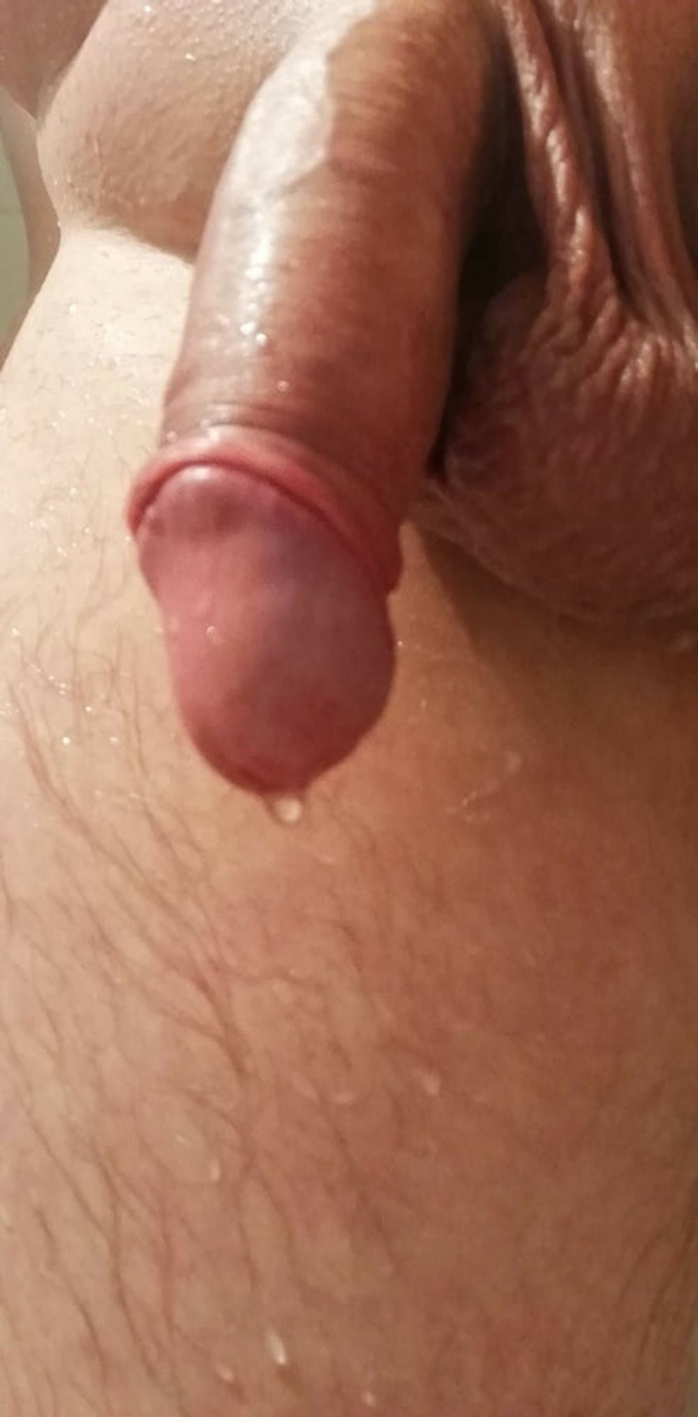 My Sweetie Dick #6