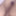 Chub 2