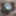 Wet Foreskin