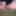 Penis