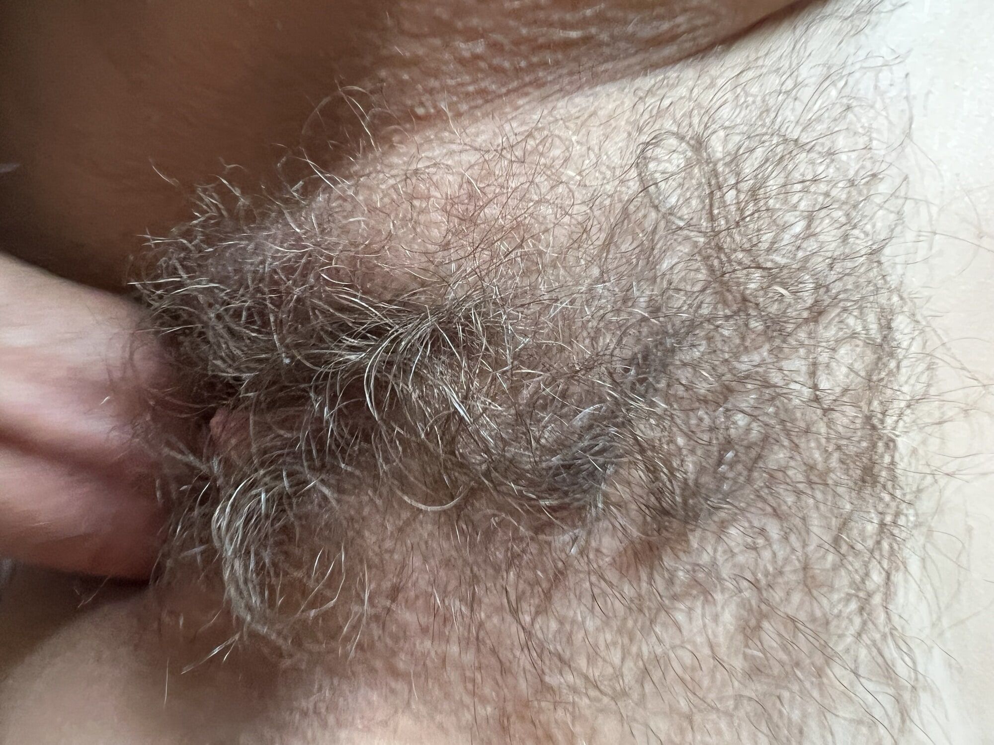 Wife bush over last 18 years, I love her hairy amateur cunt #20