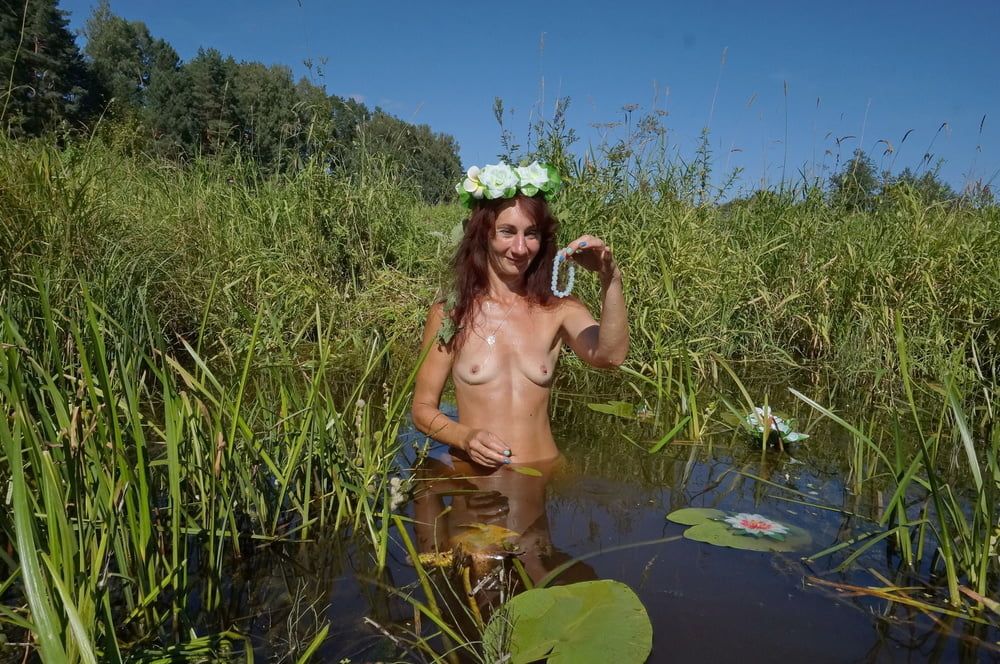 In pond with waterflowers #41