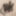 Fist
