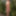 Photo shooting with cum slut Dany Sun in the garden #59