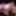 bdsm extreme insertions urethral anal femdom #19