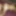 Angel and Autumn share their dildo