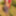 Indian aunty sex photos 