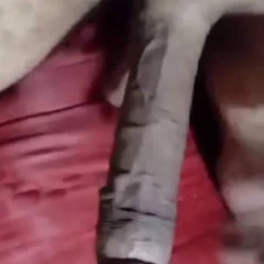 Uff big dick 