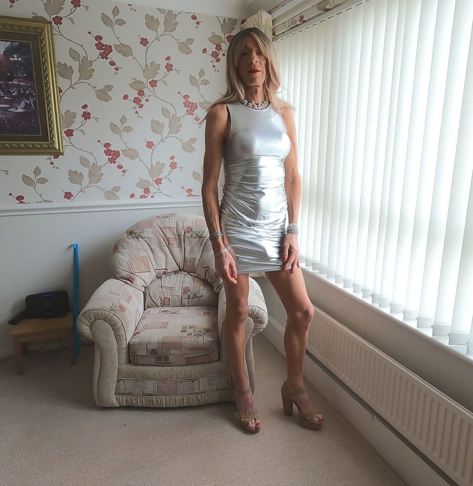 132 Alessia Travestita - Silver Party Dress #40