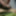 Anal fucked, cumshot in her mouth #57