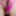 Pink string bikini ,pink metallic dress and some dildo 