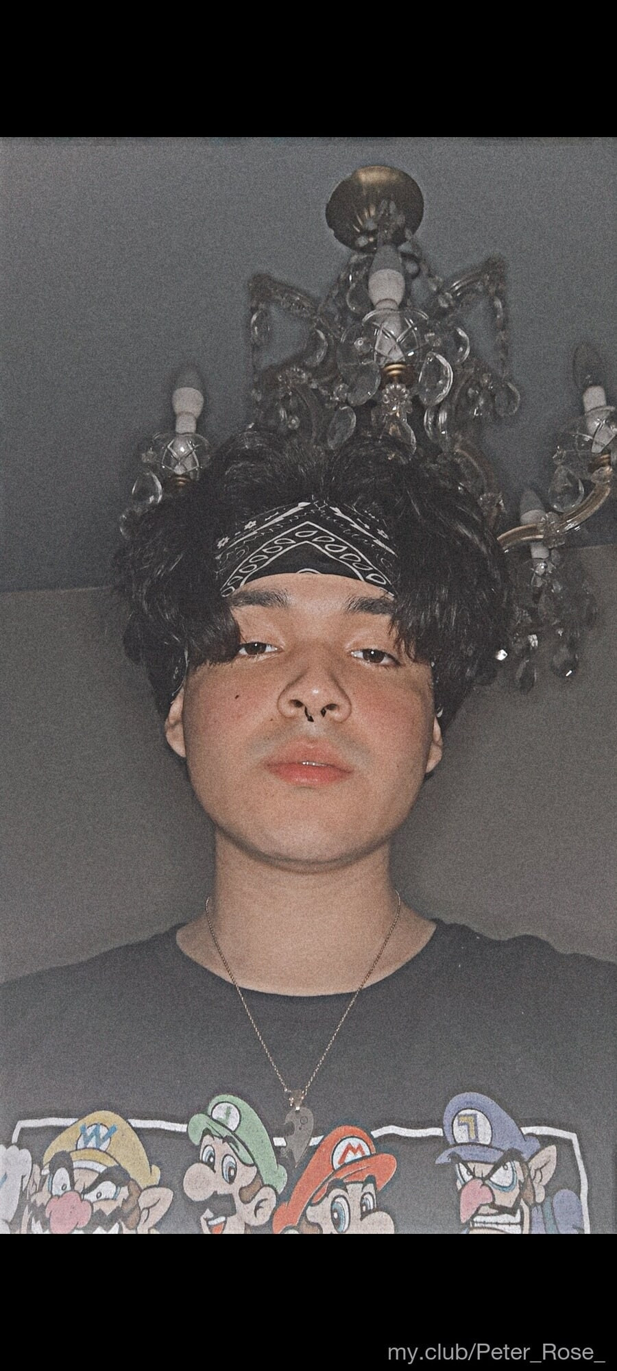 Peter Rosexxx Free Photos