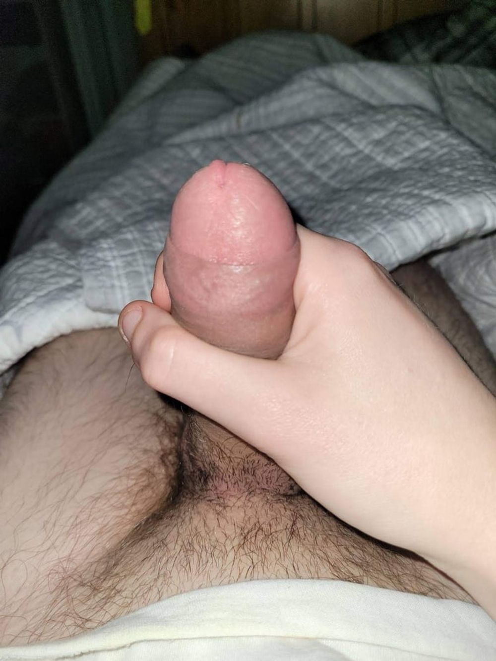 Cock #2