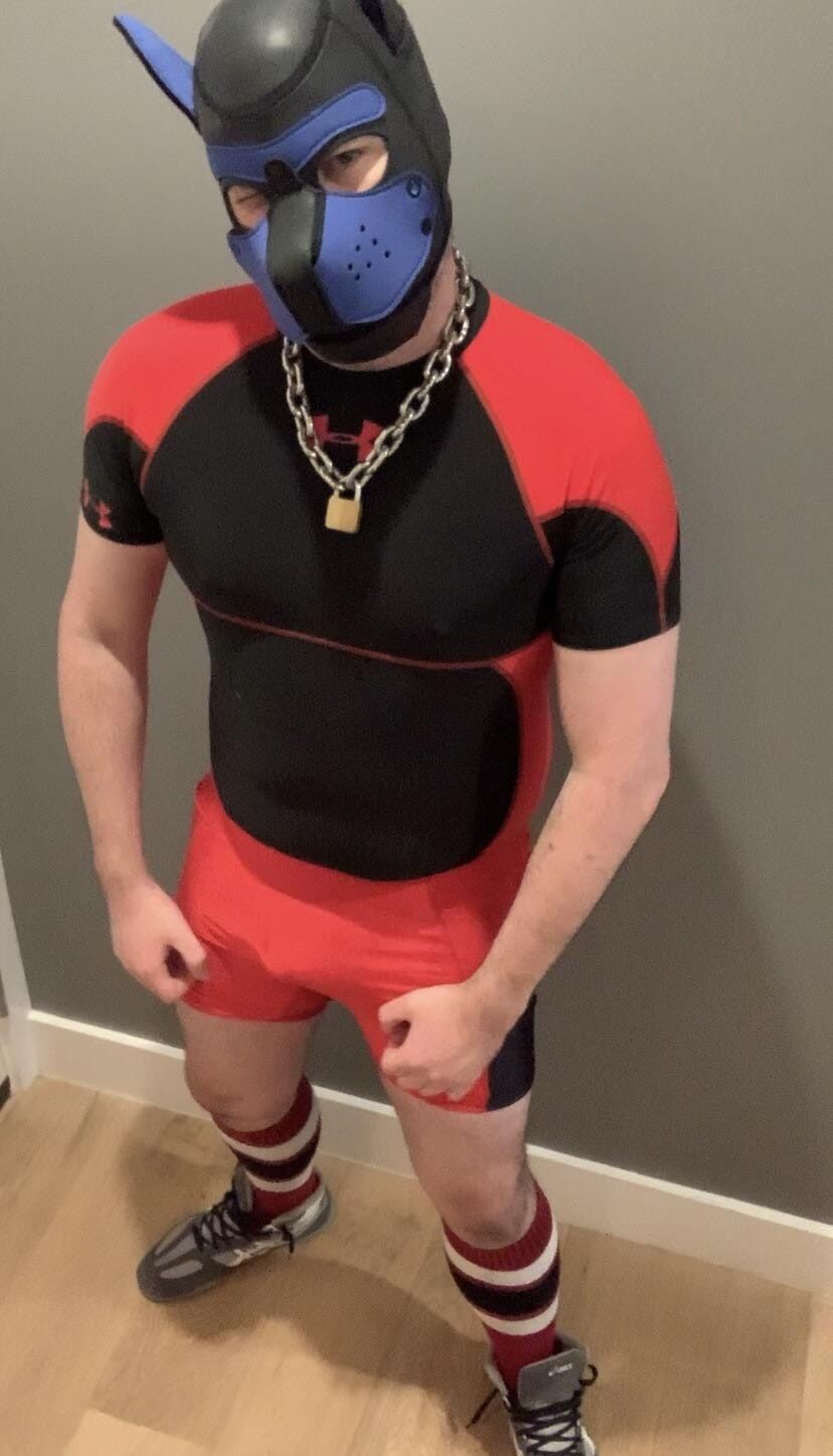 Do you like beefy pups in gear? #3
