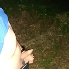 Cock outdoor