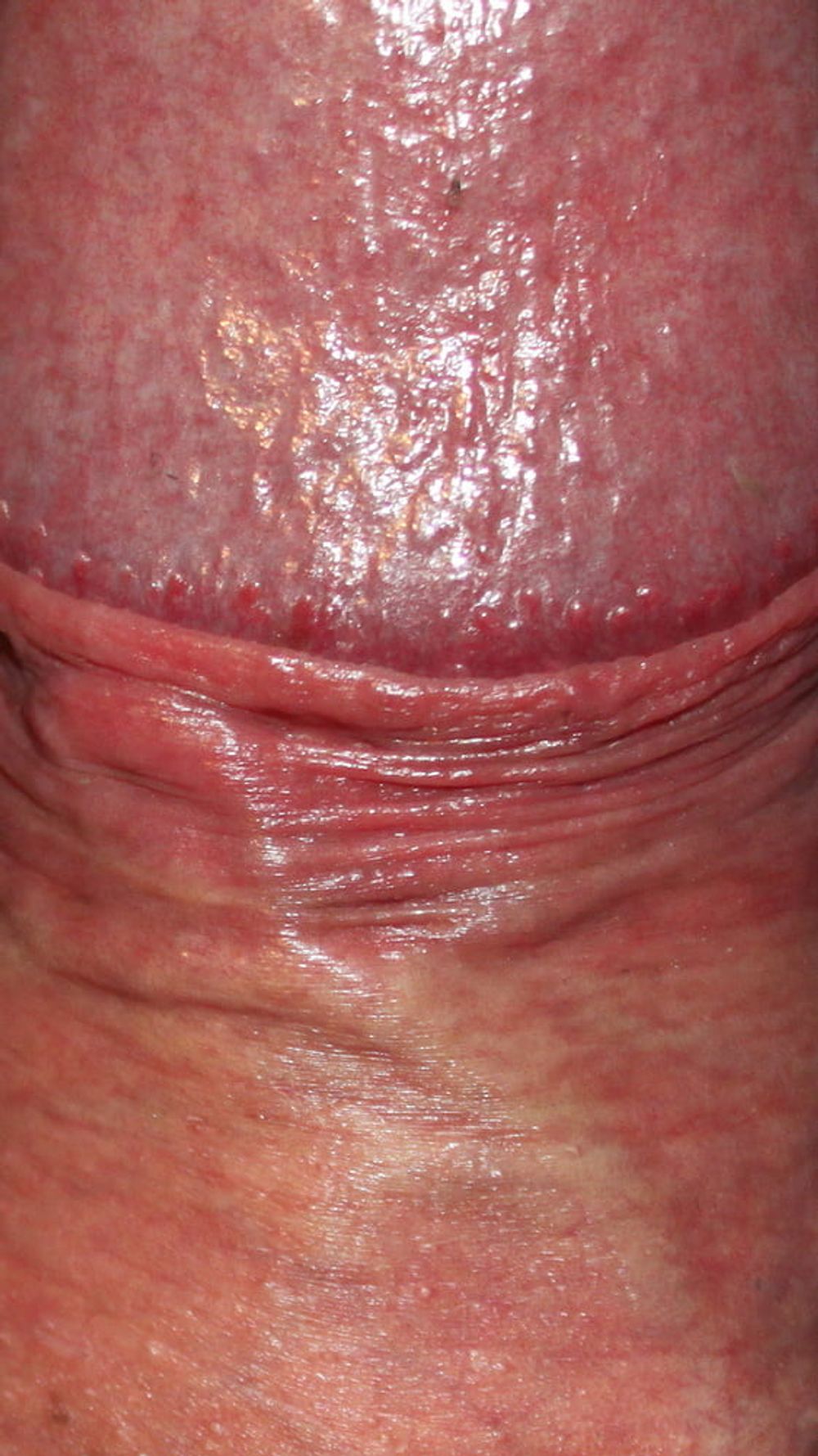 Close up dick #27