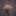 アルトゥーロ・カルドナの無料写真