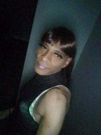 سي دي جانيل