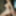 Venus Love Dolls - Ultimate Fantasy Sex Dolls #3