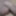 My dick