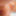 VERY UNUSUAL MOUSE NOSE NIPPLES GIRL GOT GIFT - KILO OF 🧀C #3