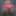 My body
