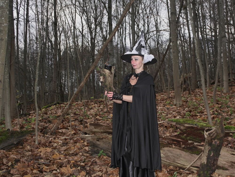 Witch with broom in forest #25