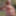 GERMAN SCOUT - TINY GIRL AGATHA TRICKED TO FUCK AT MODEL JOB #24